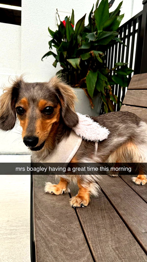 fionamaefit snapchat image archive image
