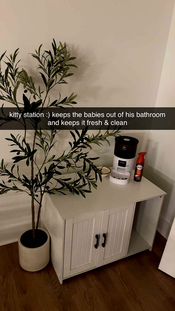 fionamaefit snapchat image archive image