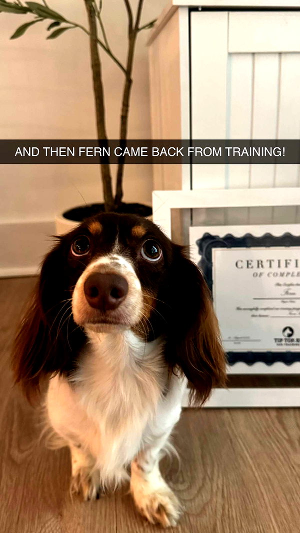 fionamaefit snapchat image archive image