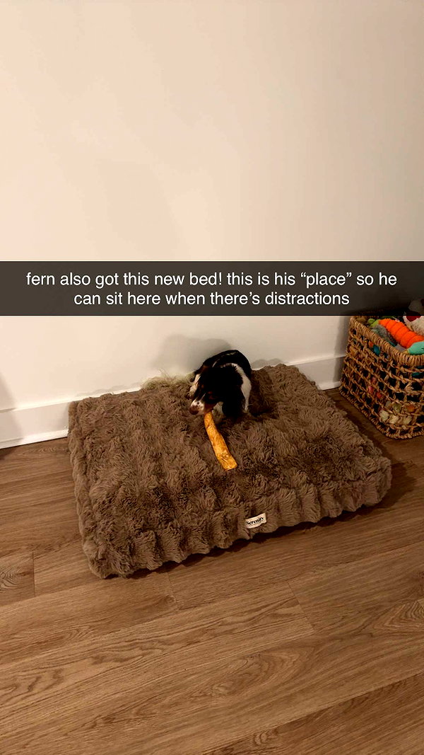 fionamaefit snapchat image archive image