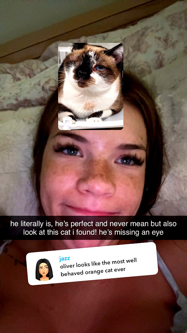 fionamaefit snapchat image archive image