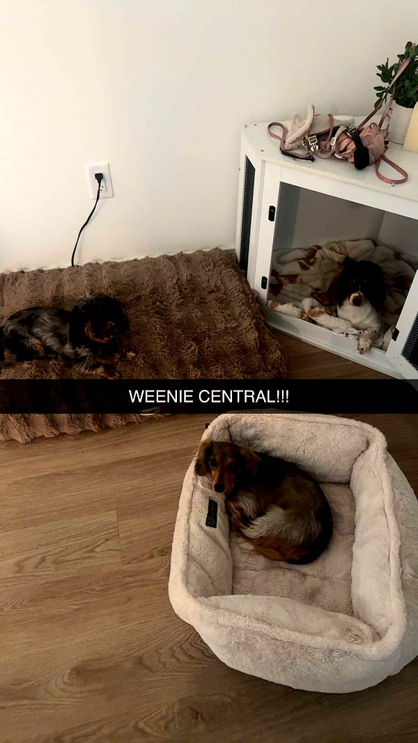 fionamaefit snapchat image archive image