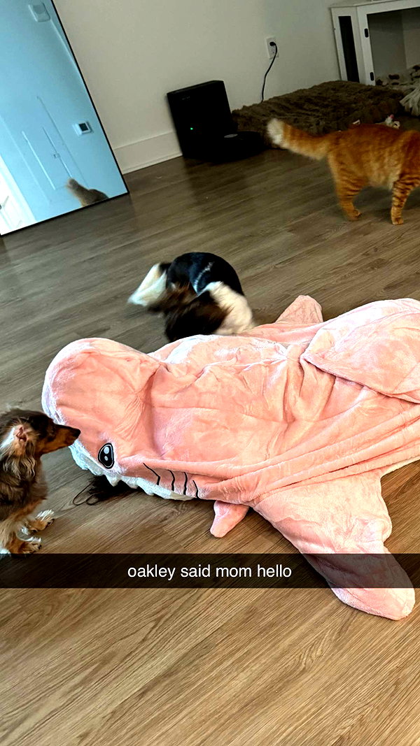 fionamaefit snapchat image archive image