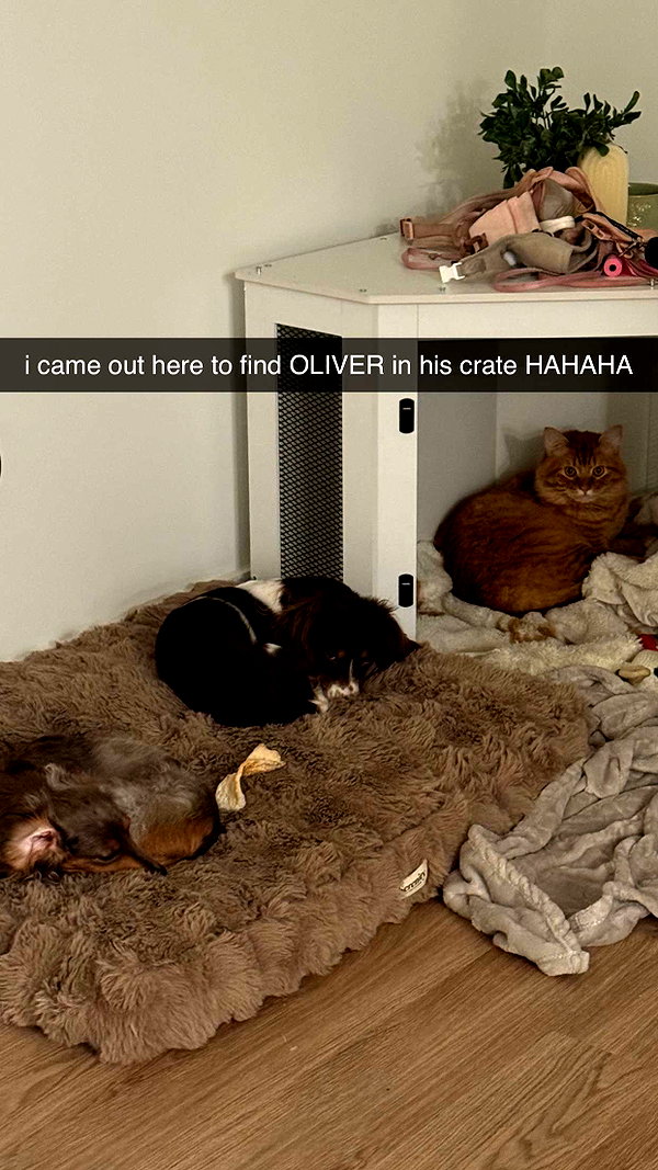 fionamaefit snapchat image archive image