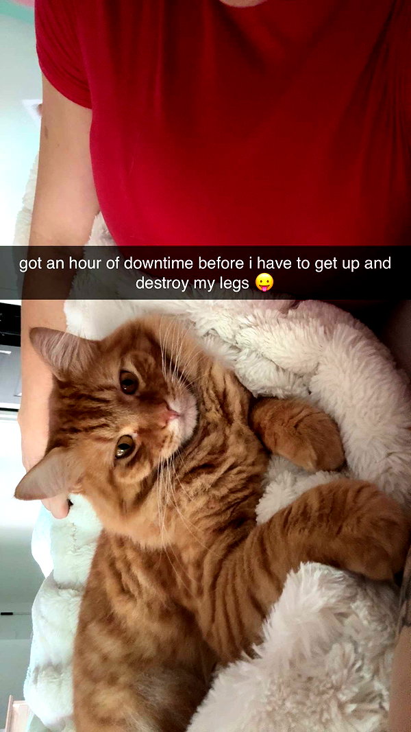 fionamaefit snapchat image archive image