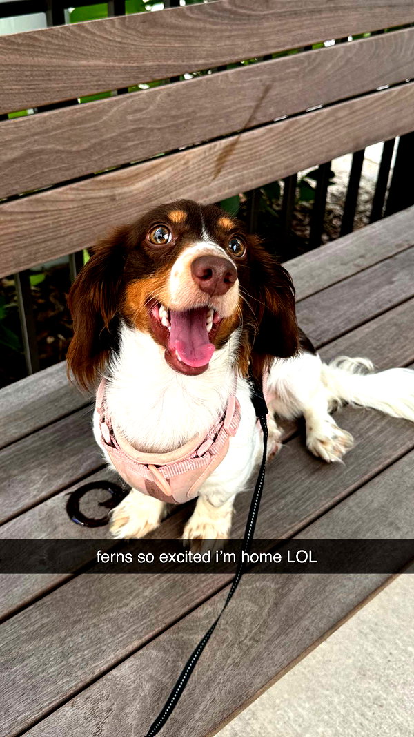 fionamaefit snapchat image archive image