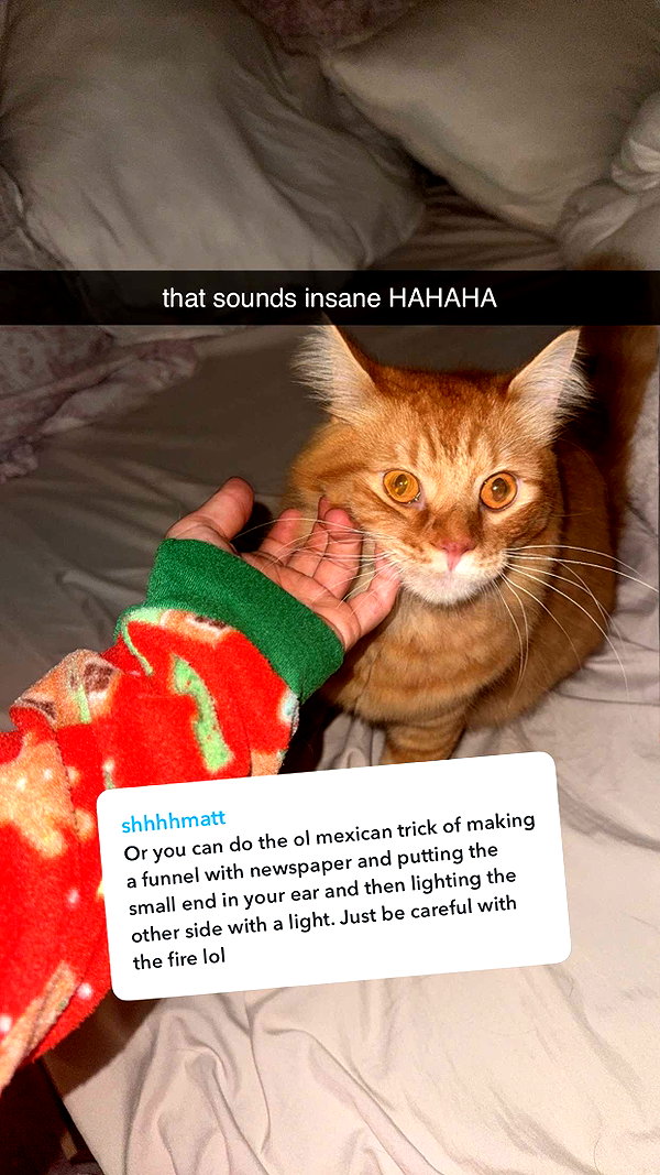fionamaefit snapchat image archive image