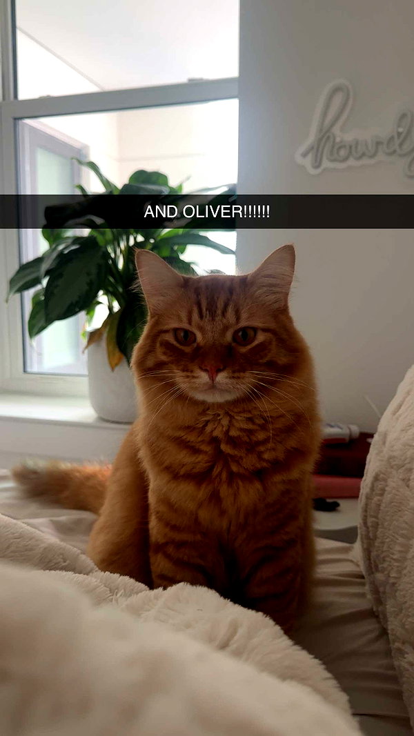 fionamaefit snapchat image archive image