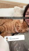 fionamaefit Altpins Profile Picture