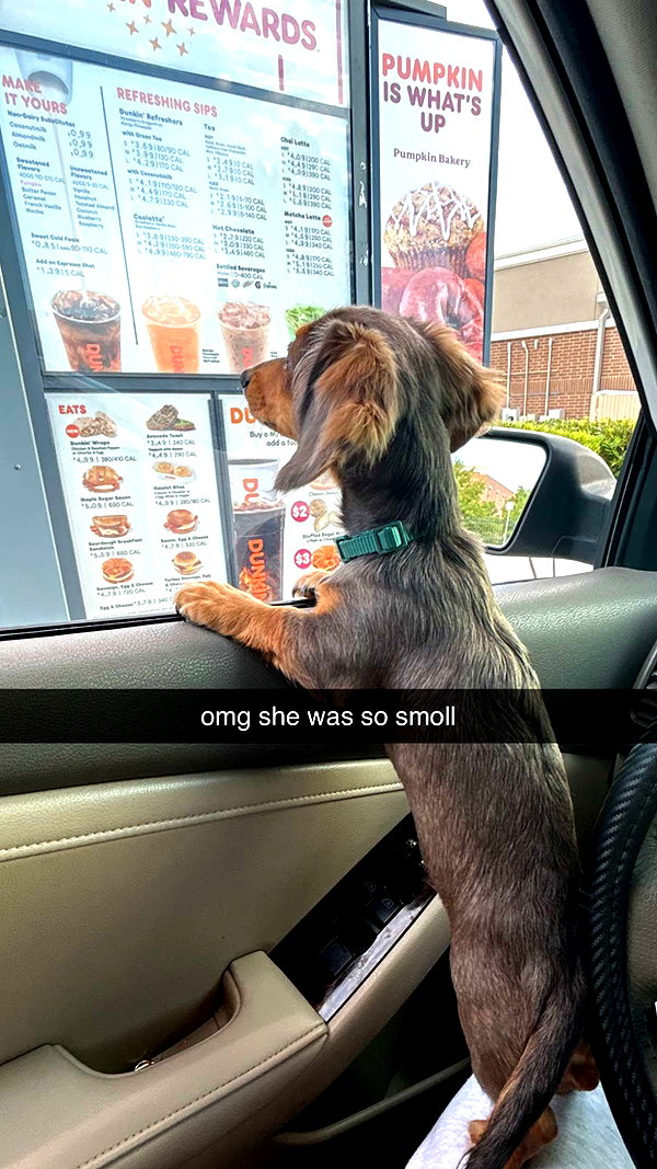 fionamaefit snapchat image archive image
