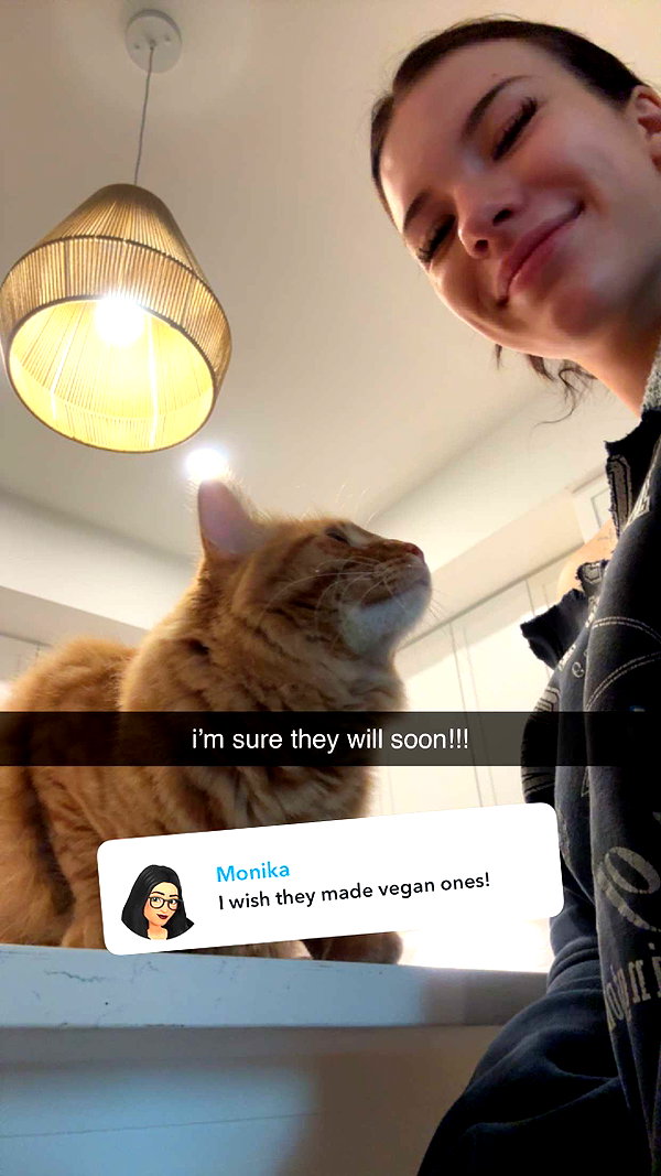 fionamaefit snapchat image archive image
