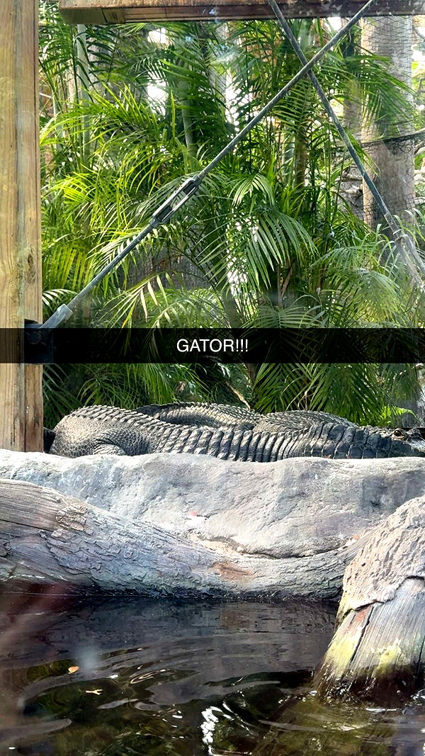 fionamaefit snapchat image archive image