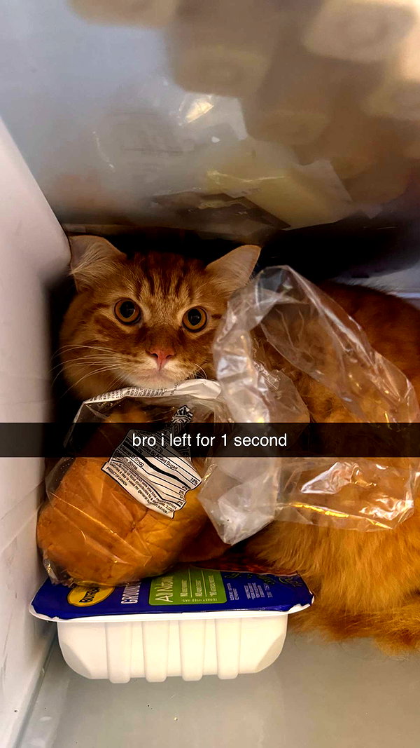 fionamaefit snapchat image archive image