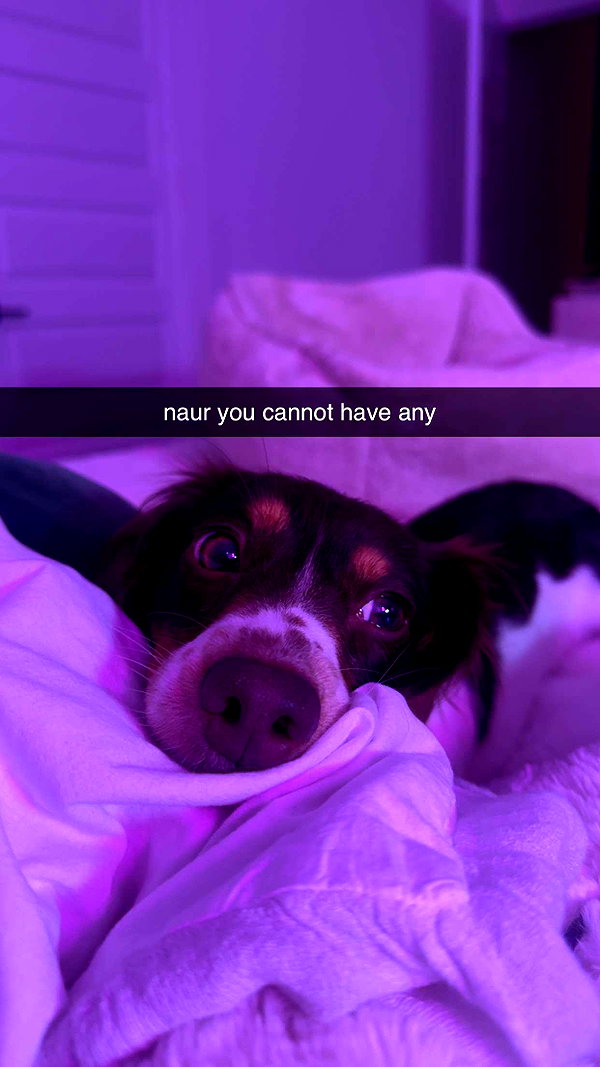 fionamaefit snapchat image archive image