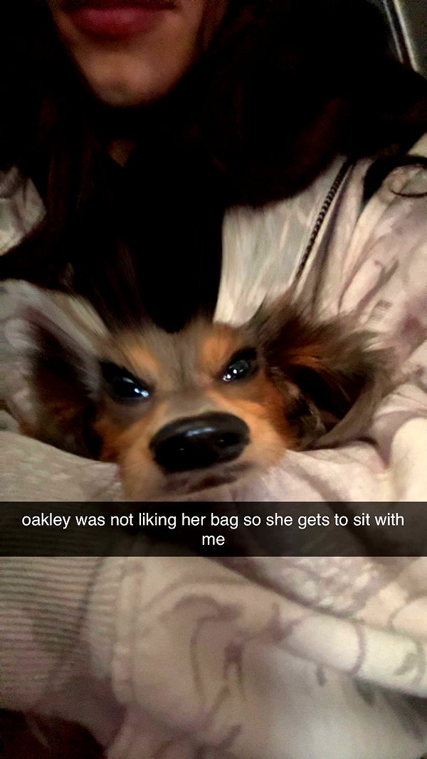 fionamaefit snapchat image archive image