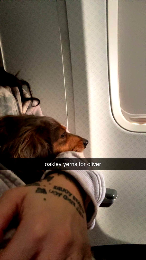 fionamaefit snapchat image archive image