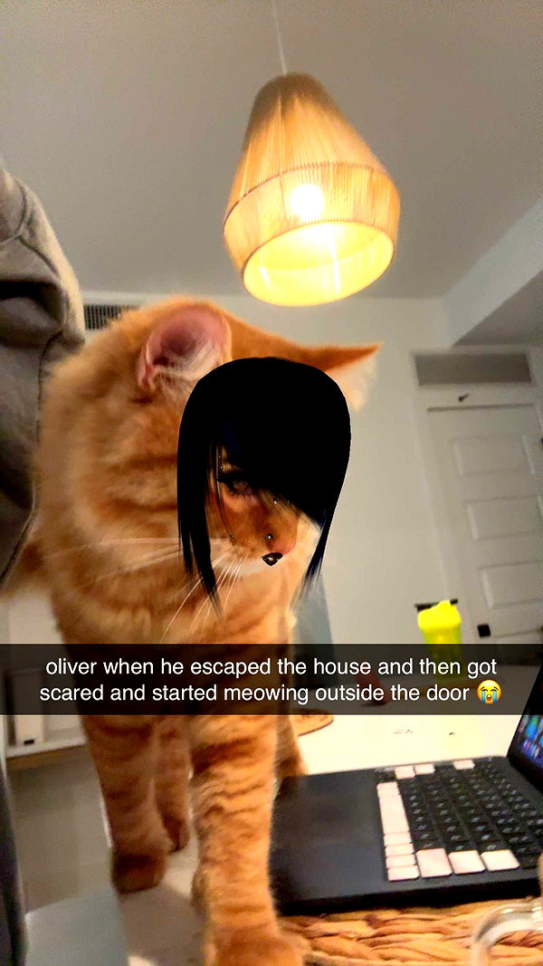 fionamaefit snapchat image archive image