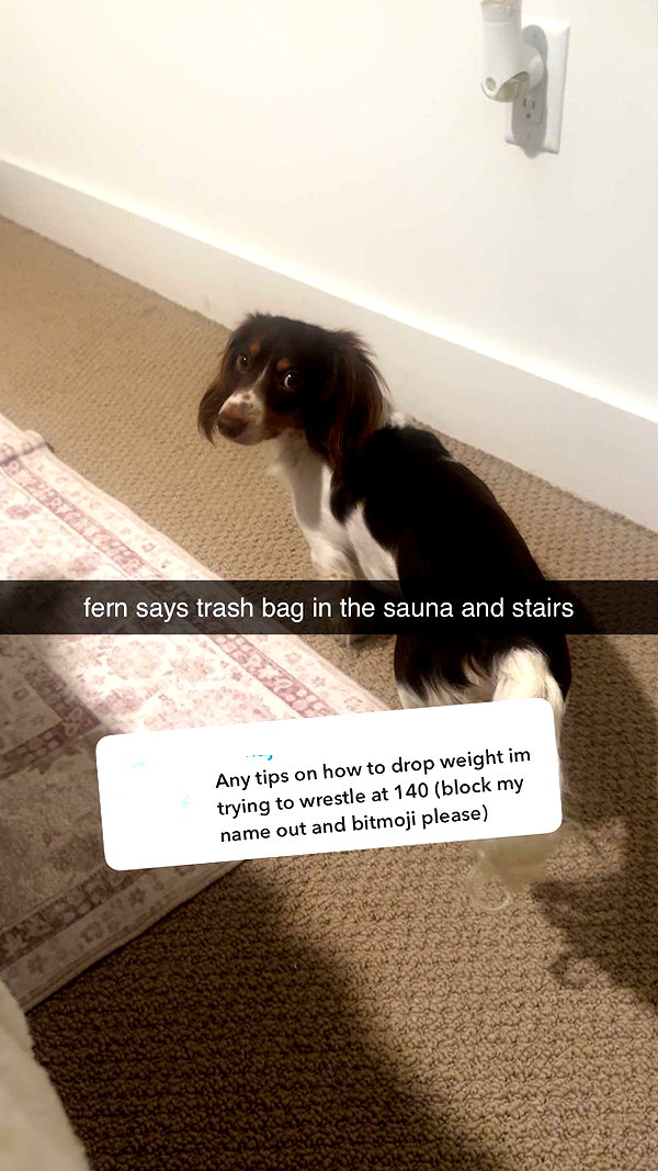 fionamaefit snapchat image archive image