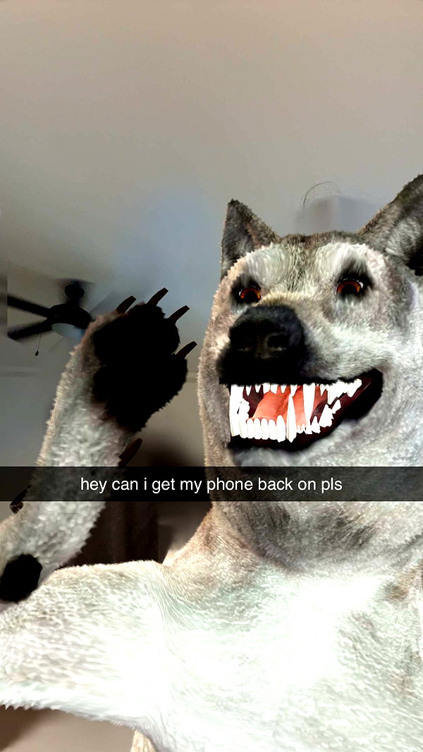 fionamaefit snapchat image archive image