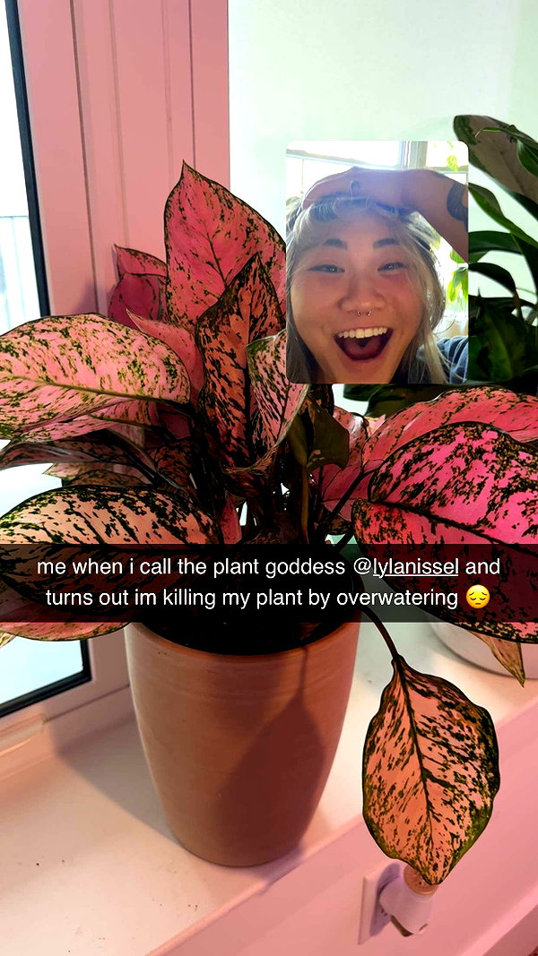 fionamaefit snapchat image archive image