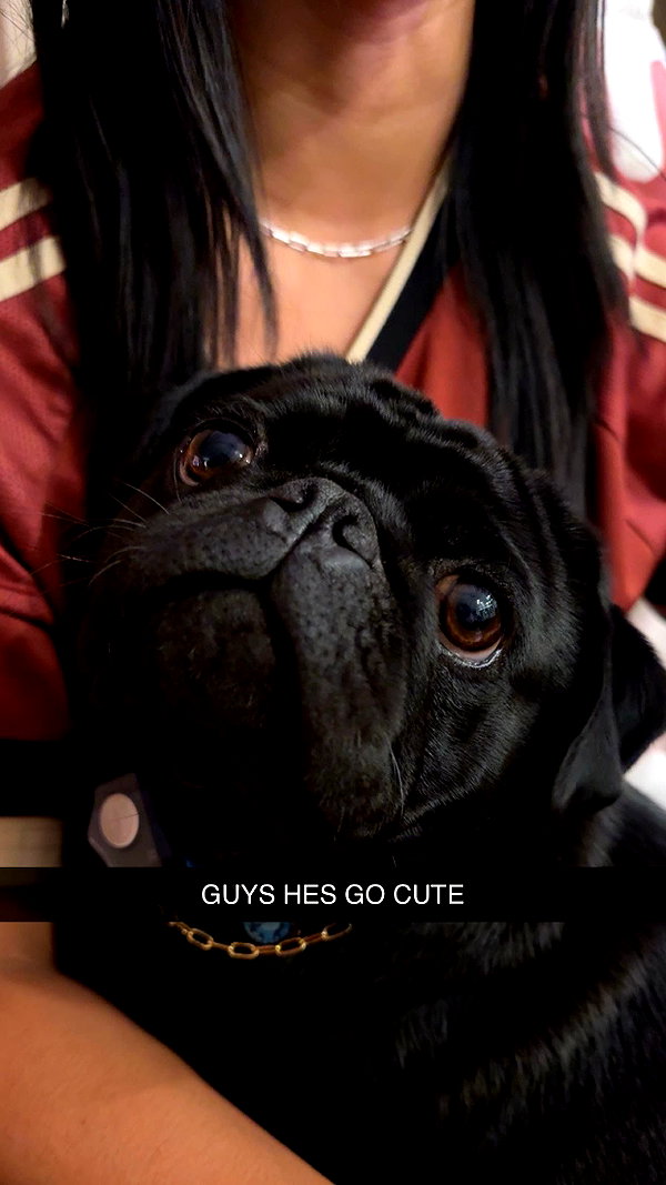 fionamaefit snapchat image archive image