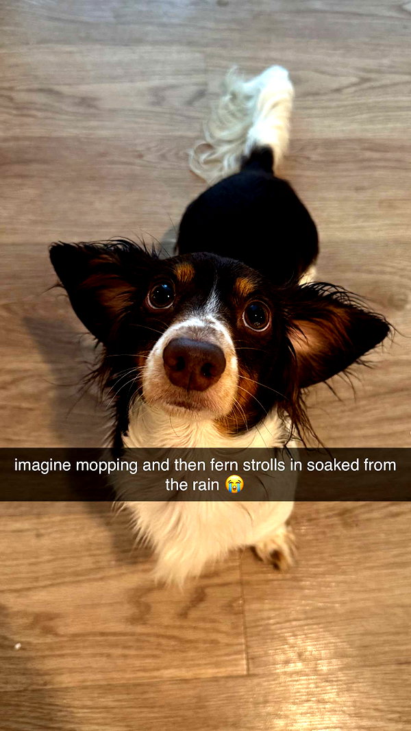 fionamaefit snapchat image archive image
