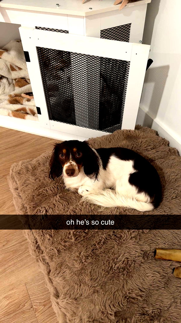fionamaefit snapchat image archive image