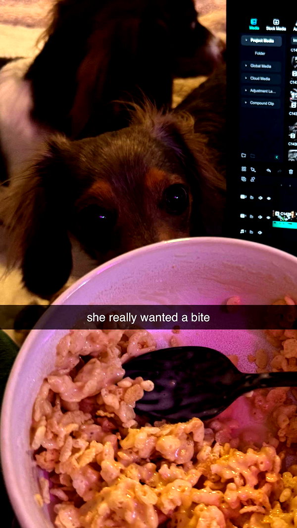 fionamaefit snapchat image archive image