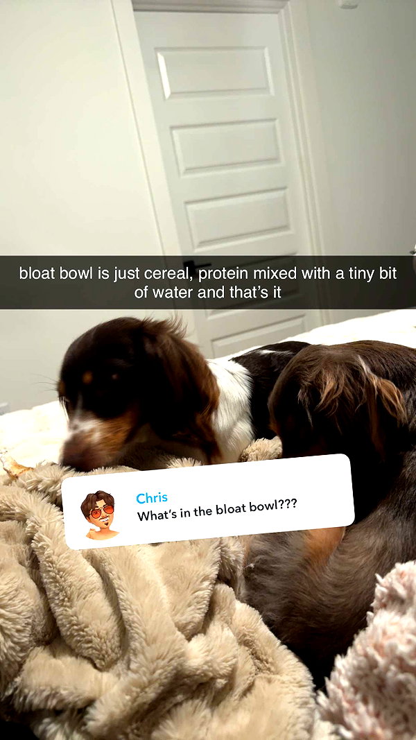 fionamaefit snapchat image archive image