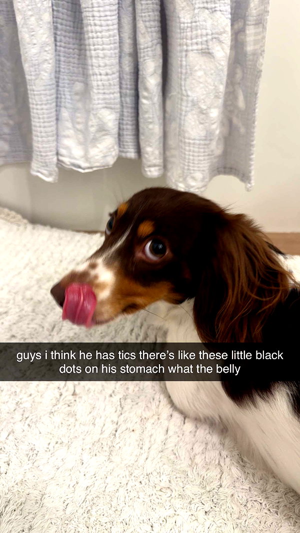 fionamaefit snapchat image archive image