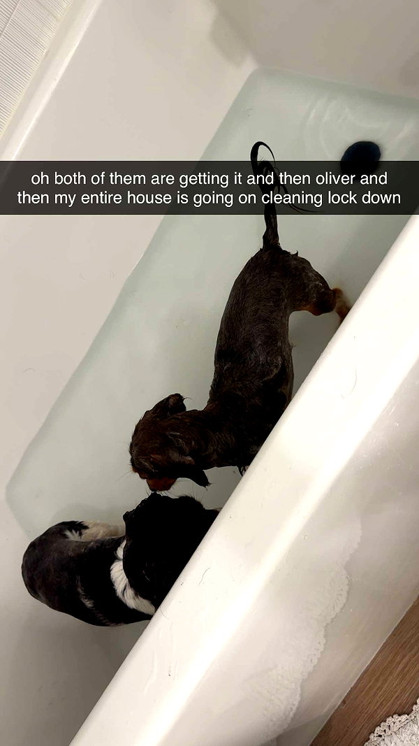 fionamaefit snapchat image archive image