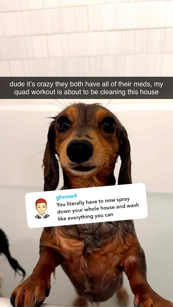 fionamaefit snapchat image archive image