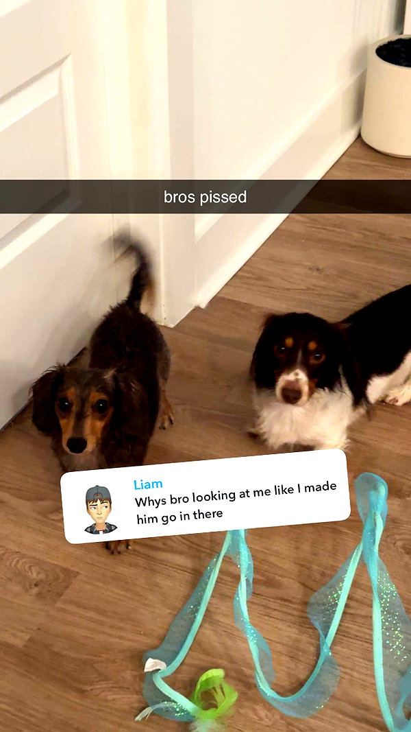 fionamaefit snapchat image archive image