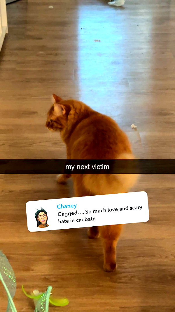 fionamaefit snapchat image archive image