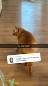 fionamaefit Altpins Profile Picture