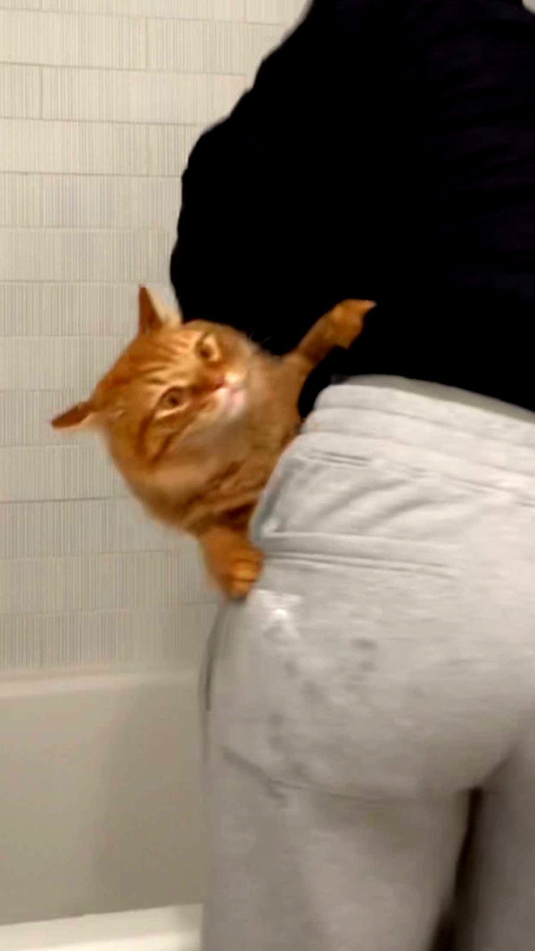 fionamaefit snapchat image archive image