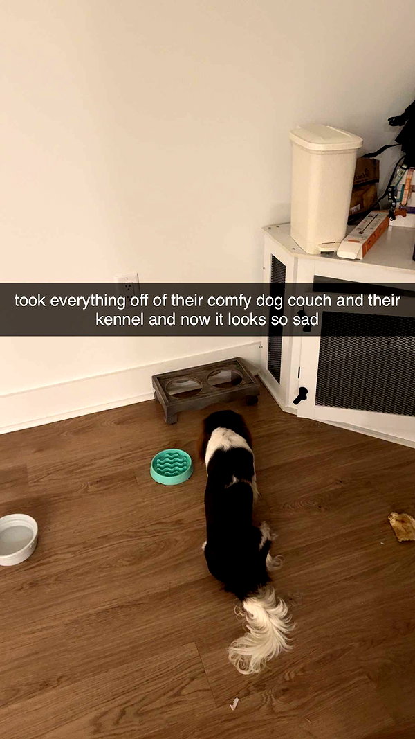 fionamaefit snapchat image archive image