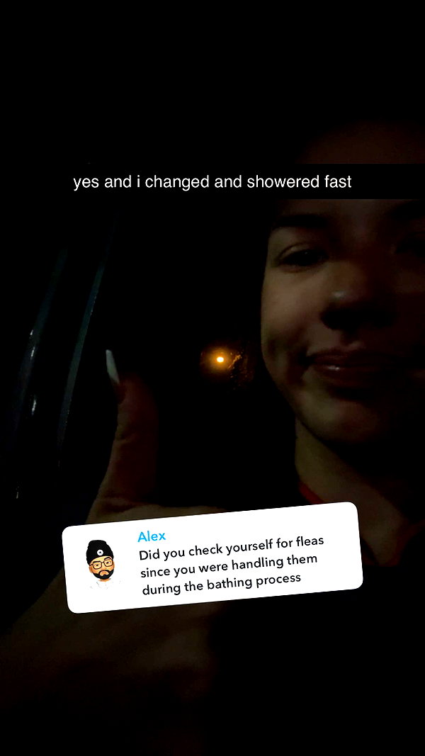 fionamaefit snapchat image archive image