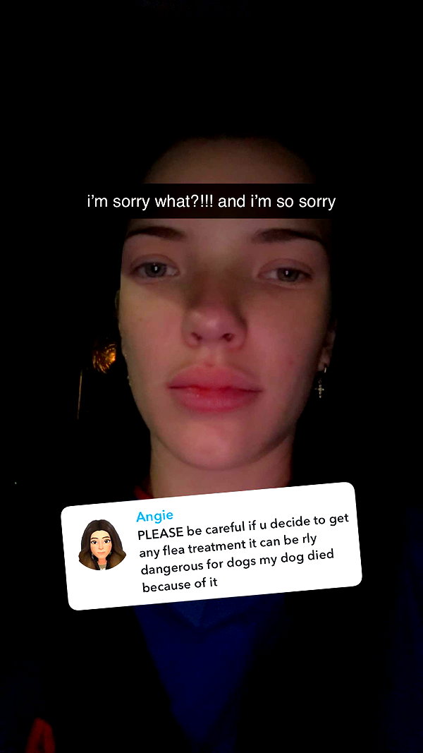 fionamaefit snapchat image archive image