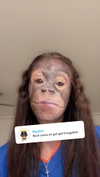 fionamaefit Altpins Profile Picture