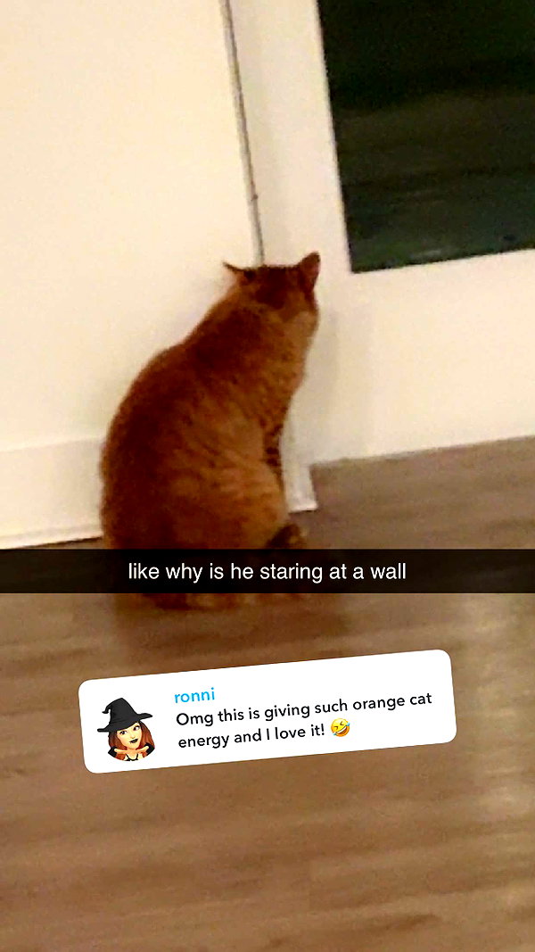 fionamaefit snapchat image archive image