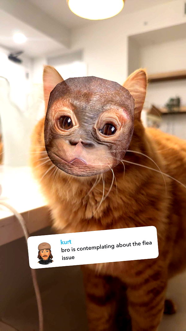fionamaefit snapchat image archive image