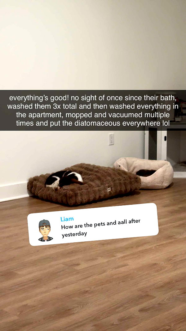 fionamaefit snapchat image archive image