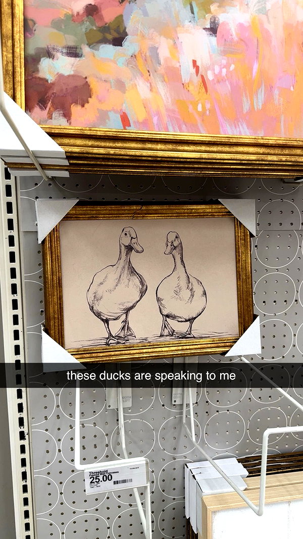fionamaefit snapchat image archive image