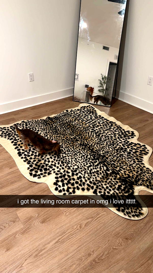 fionamaefit snapchat image archive image
