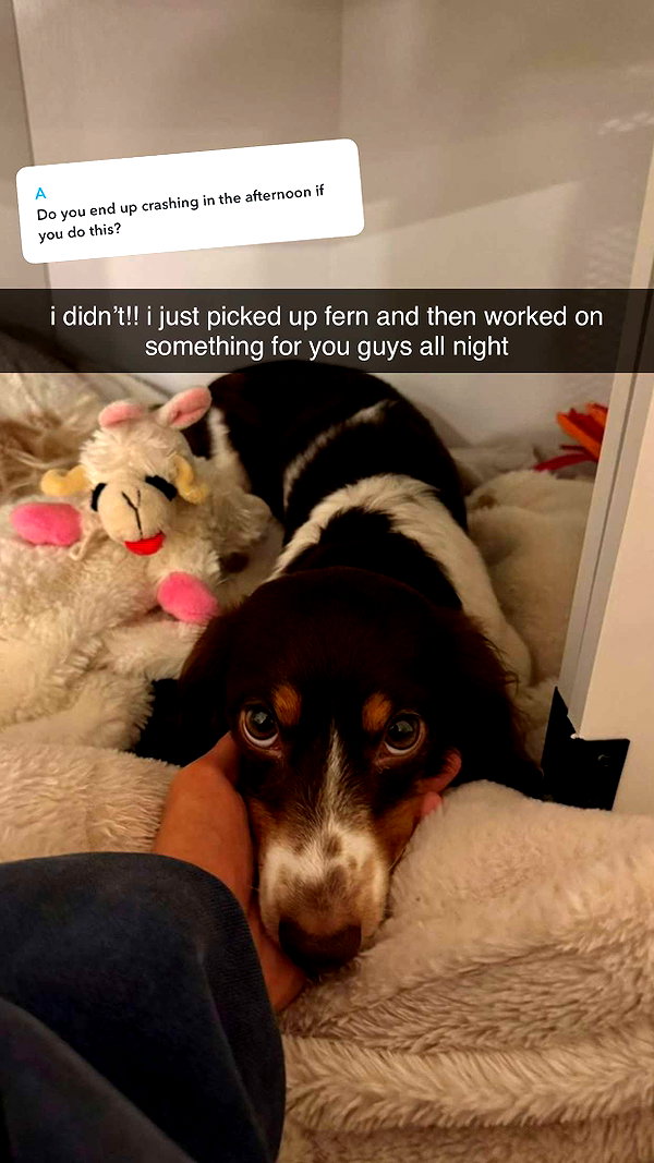 fionamaefit snapchat image archive image