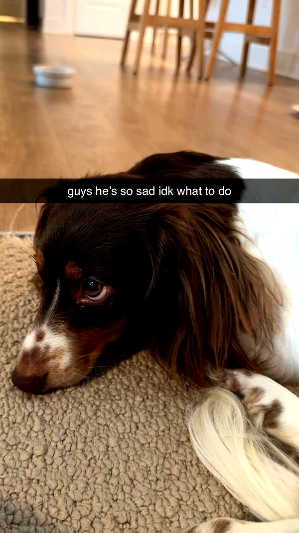 fionamaefit snapchat image archive image
