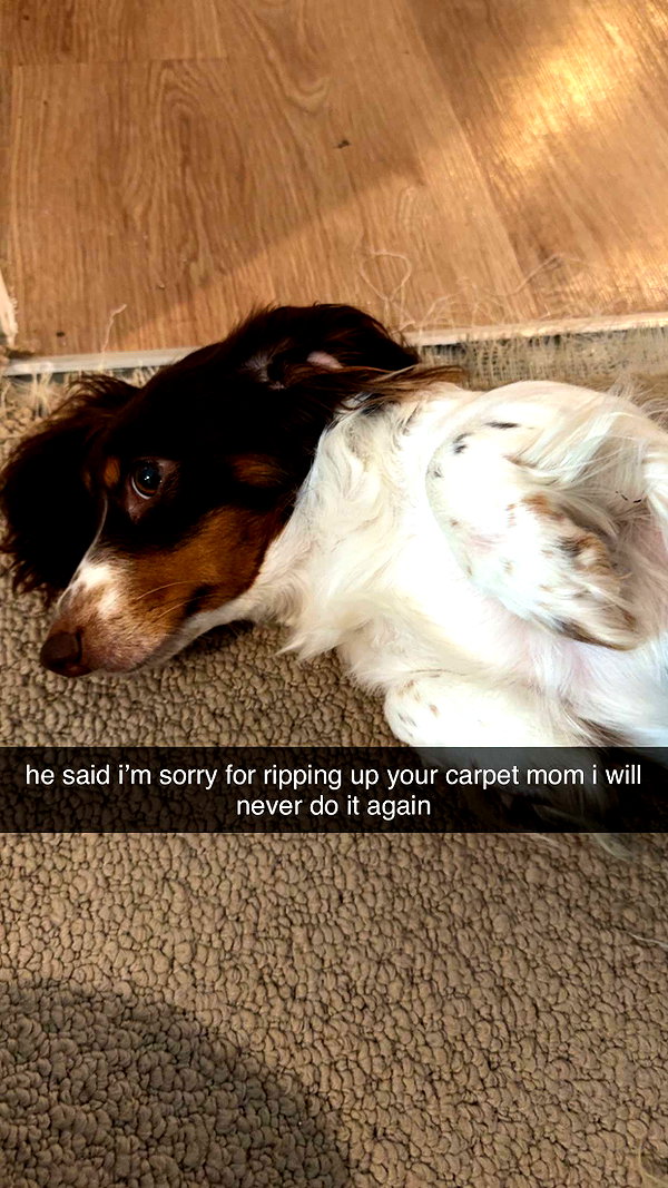 fionamaefit snapchat image archive image