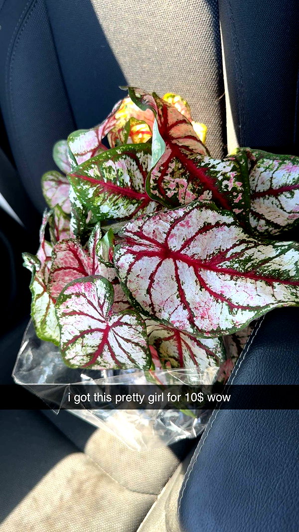 fionamaefit snapchat image archive image