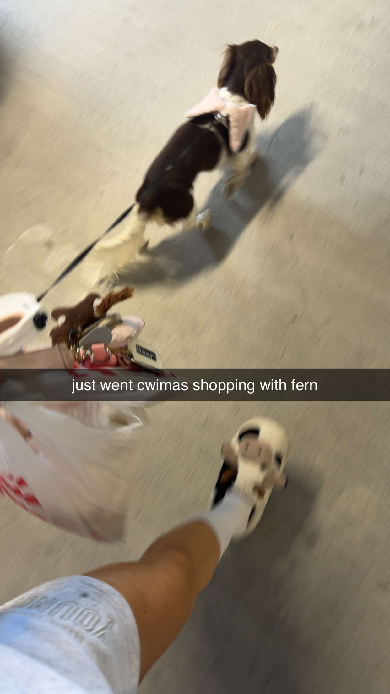 fionamaefit snapchat image archive image